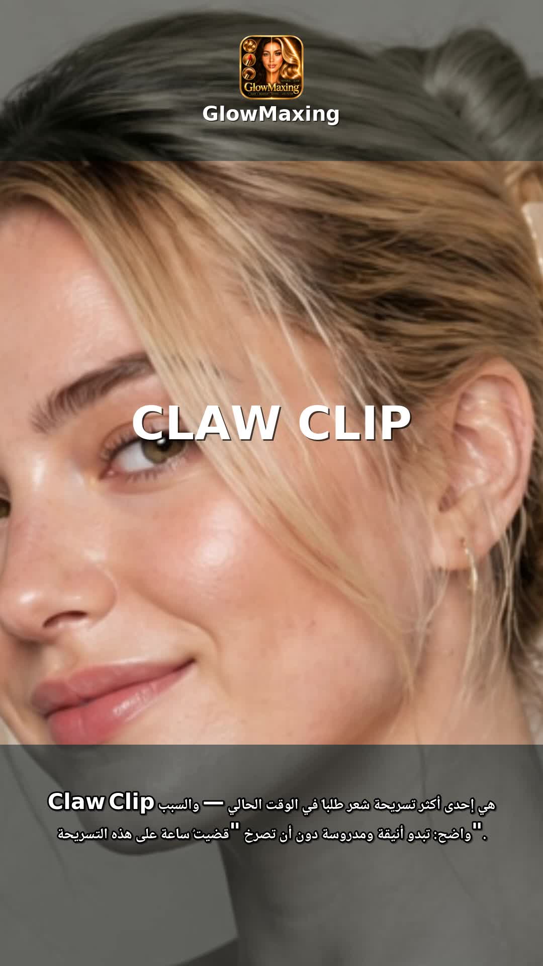 Claw Clip