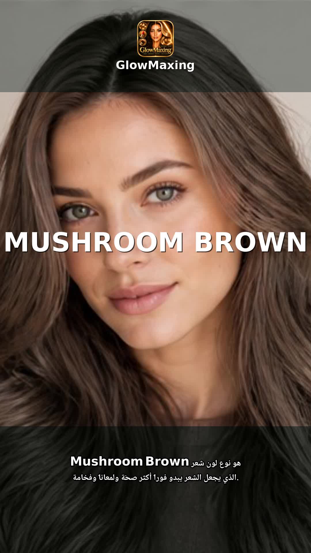Mushroom Brown