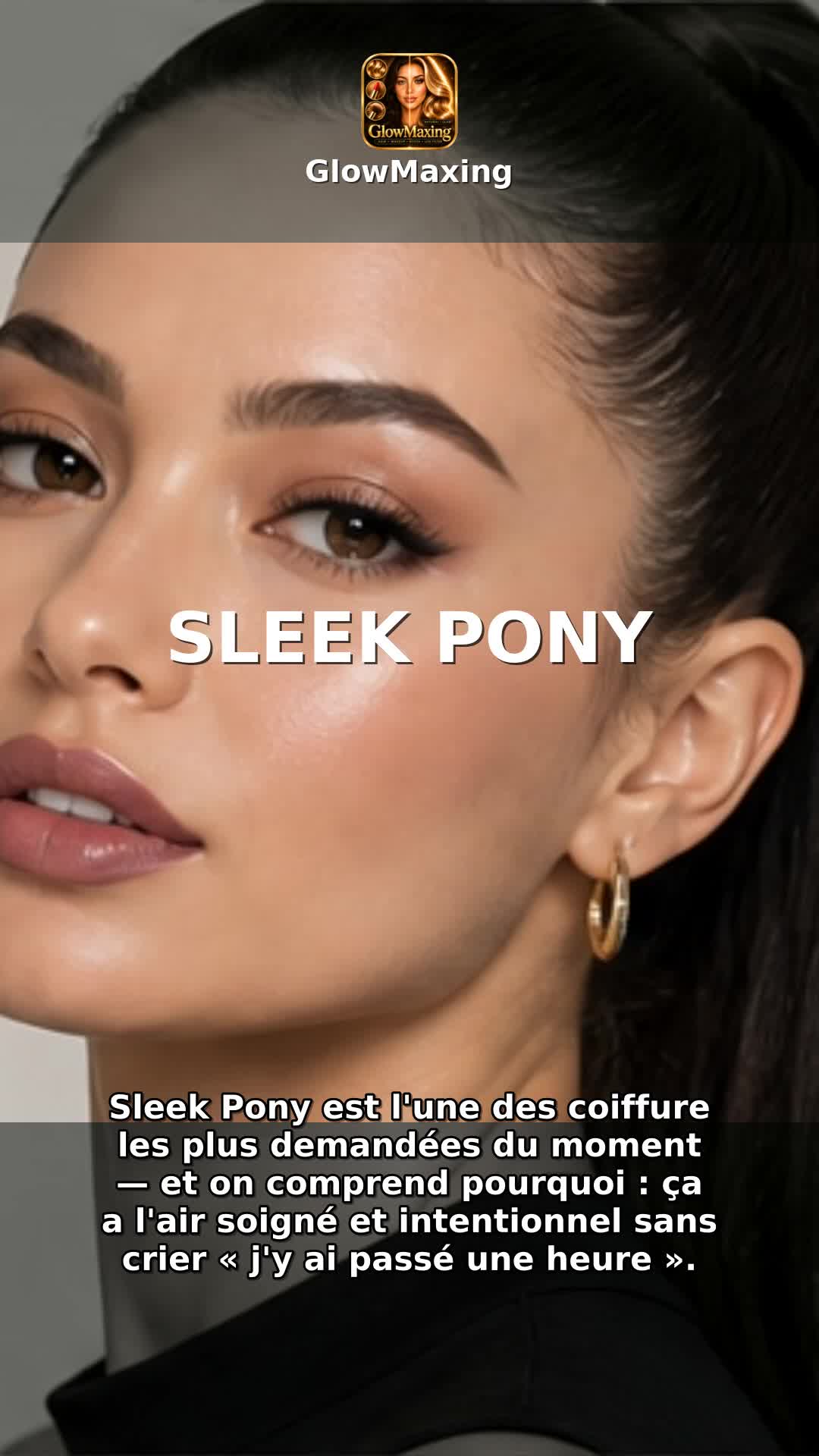Sleek Pony
