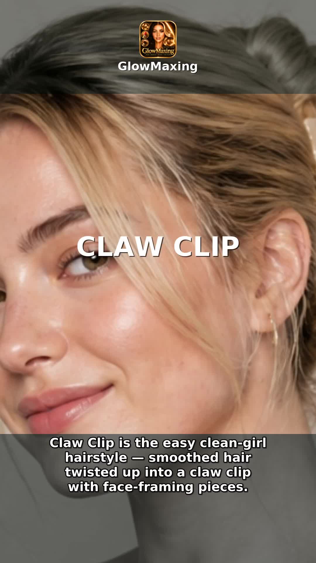 Claw Clip