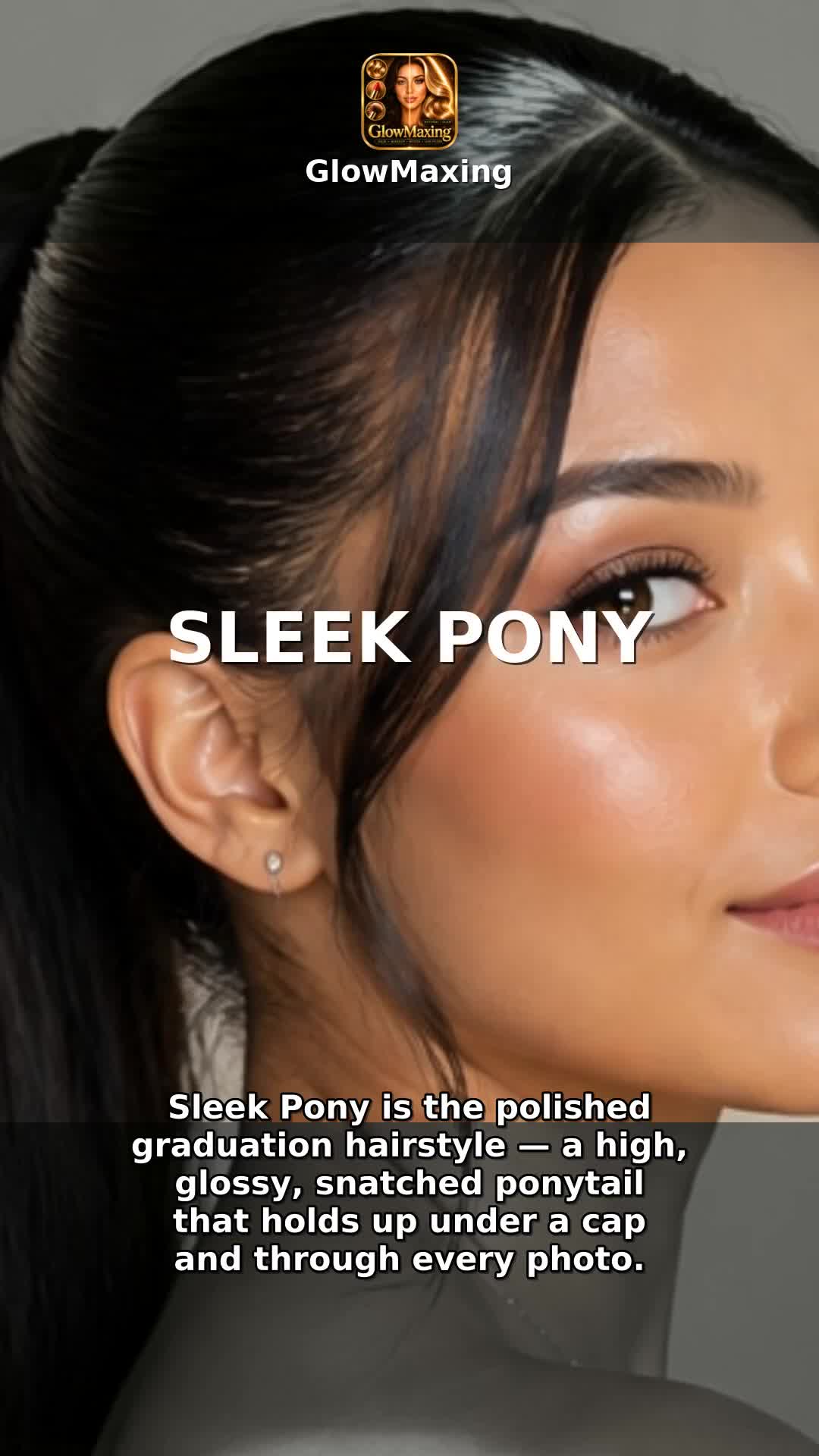 Sleek Pony