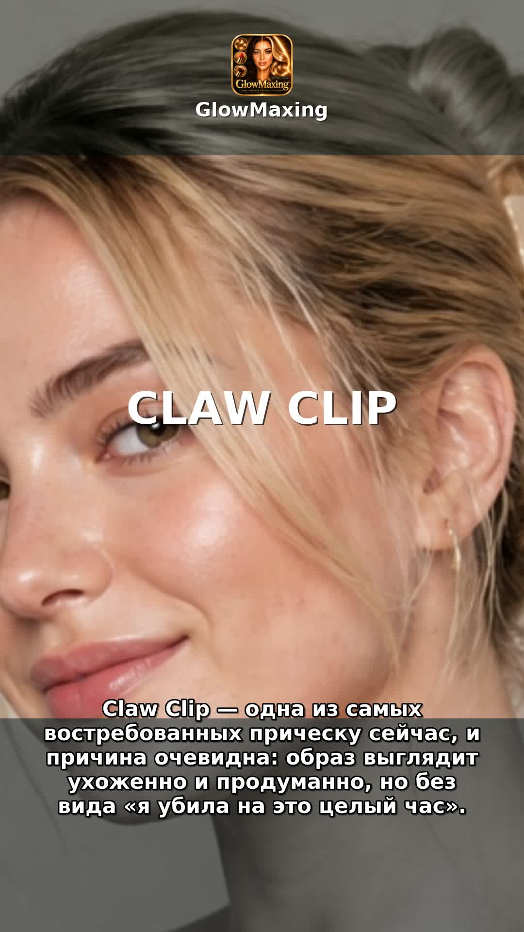 Claw Clip