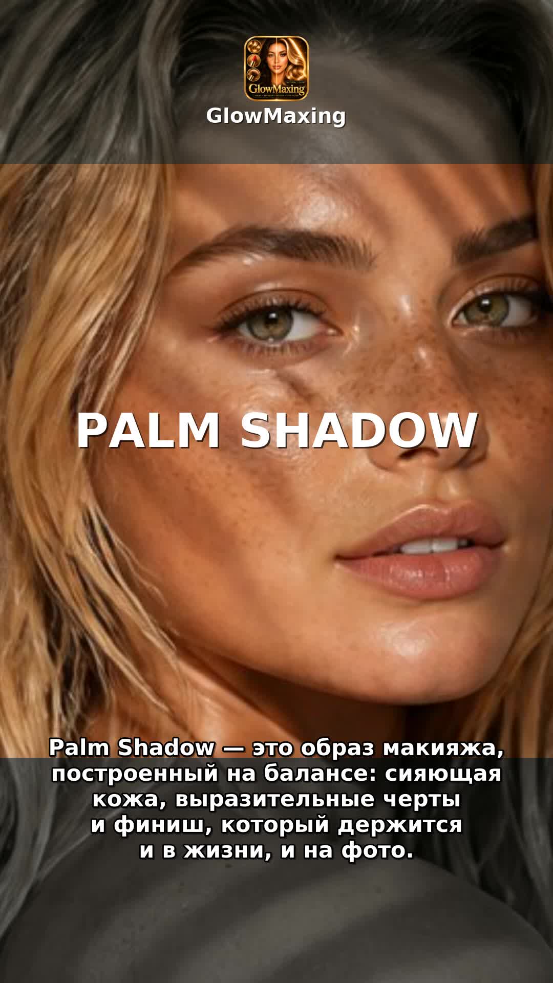 Palm Shadow