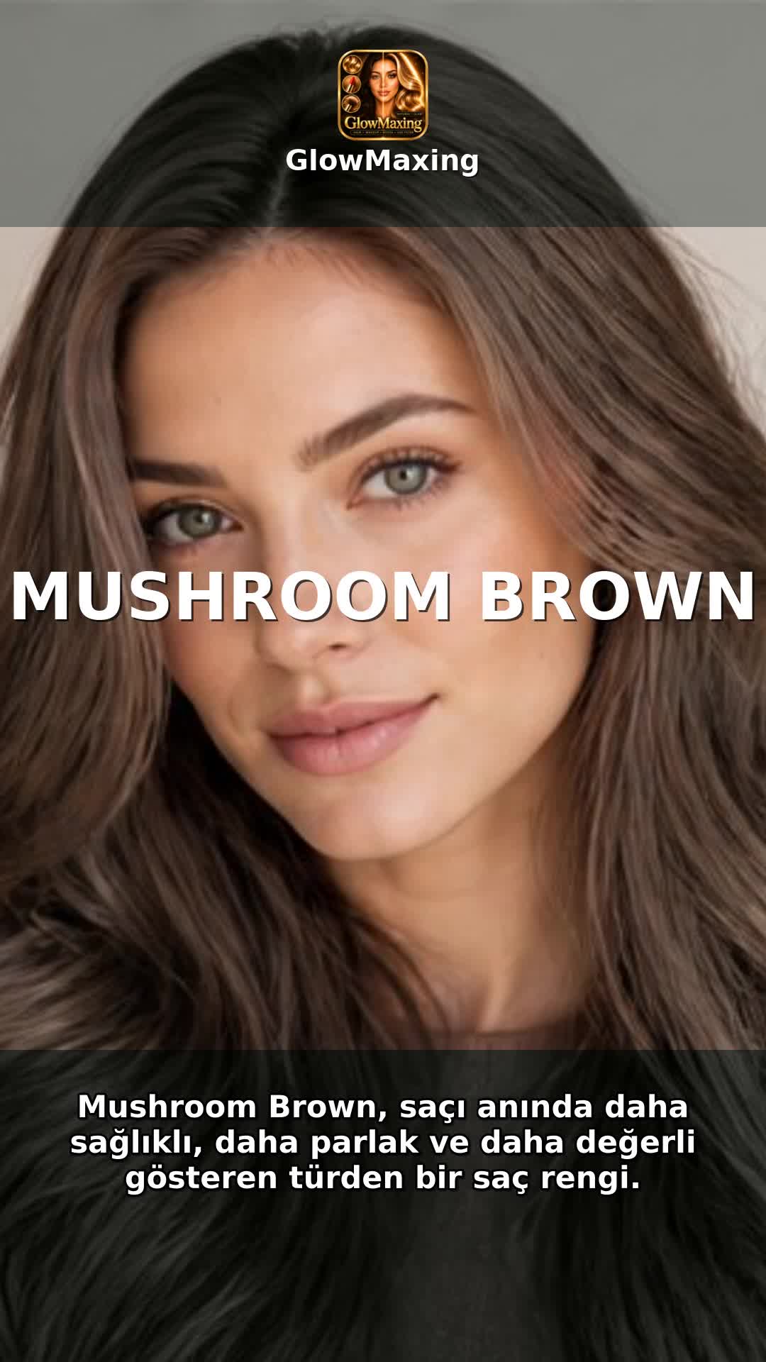 Mushroom Brown