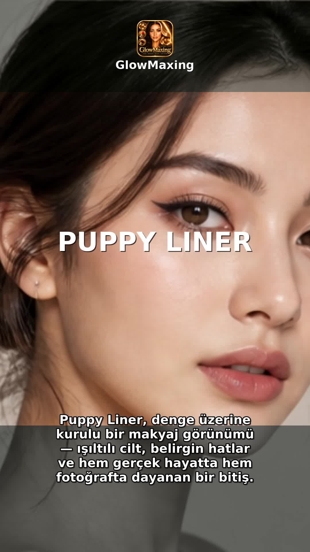 Puppy Liner